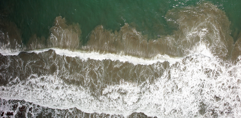 coast_estuaries_1_cropped