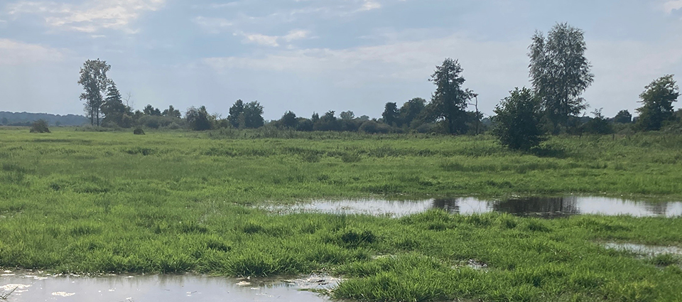 WRM_Jobstudent_header